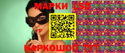 ГАЛЛЮЦИНОГЕННЫЕ ГРИБЫ Нальчик