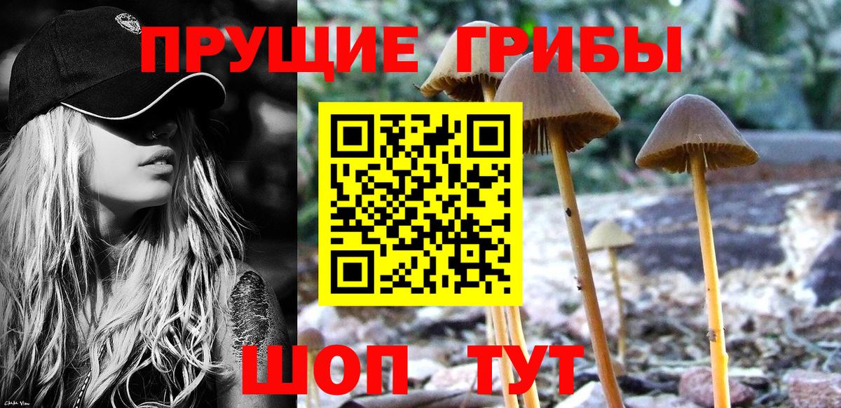 Скопин  Псилоцибиновые грибы ЛСД  Вход с VPN 