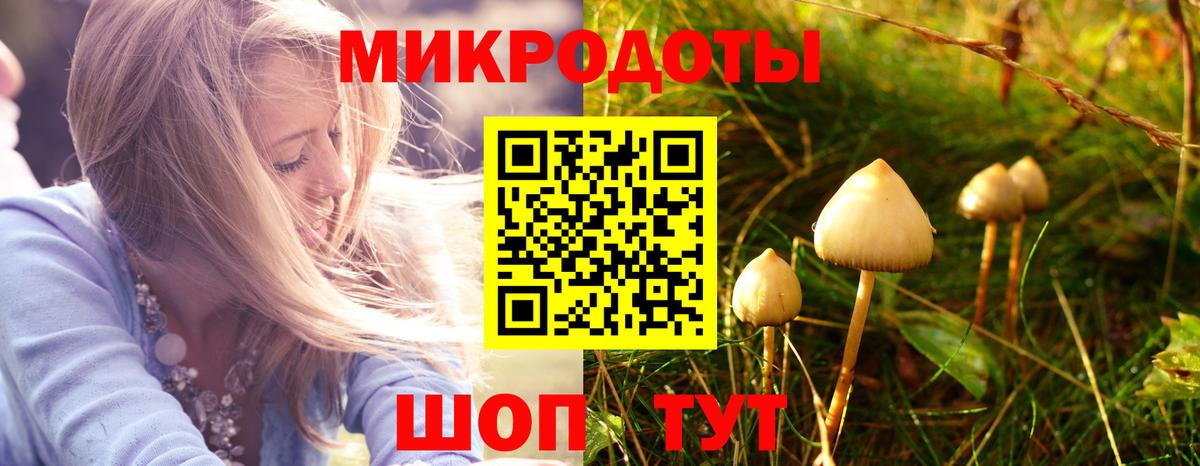 Псилоцибиновые грибы MAGIC MUSHROOMS Скопин